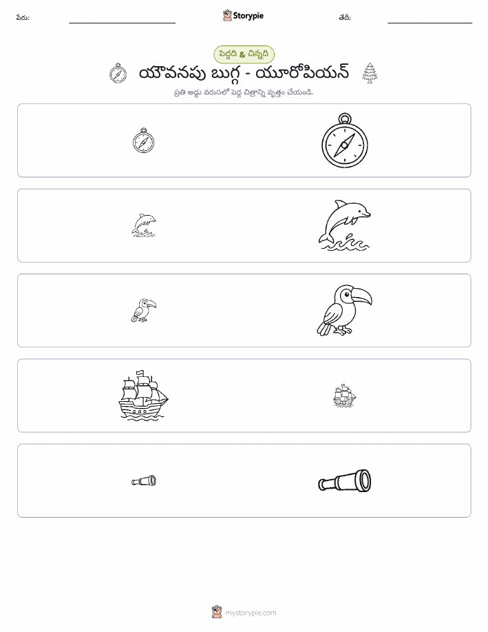 వర్గీకరణ
