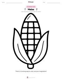 Maize printable worksheet preview