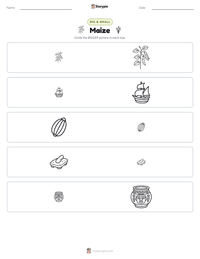 Maize printable worksheet preview