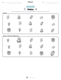 Maize printable worksheet preview