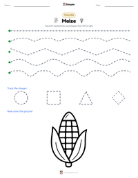 Maize printable worksheet preview