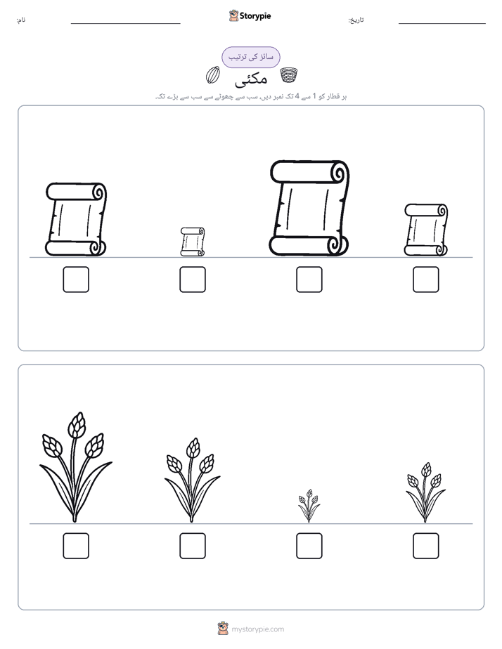 سائز کی ترتیب