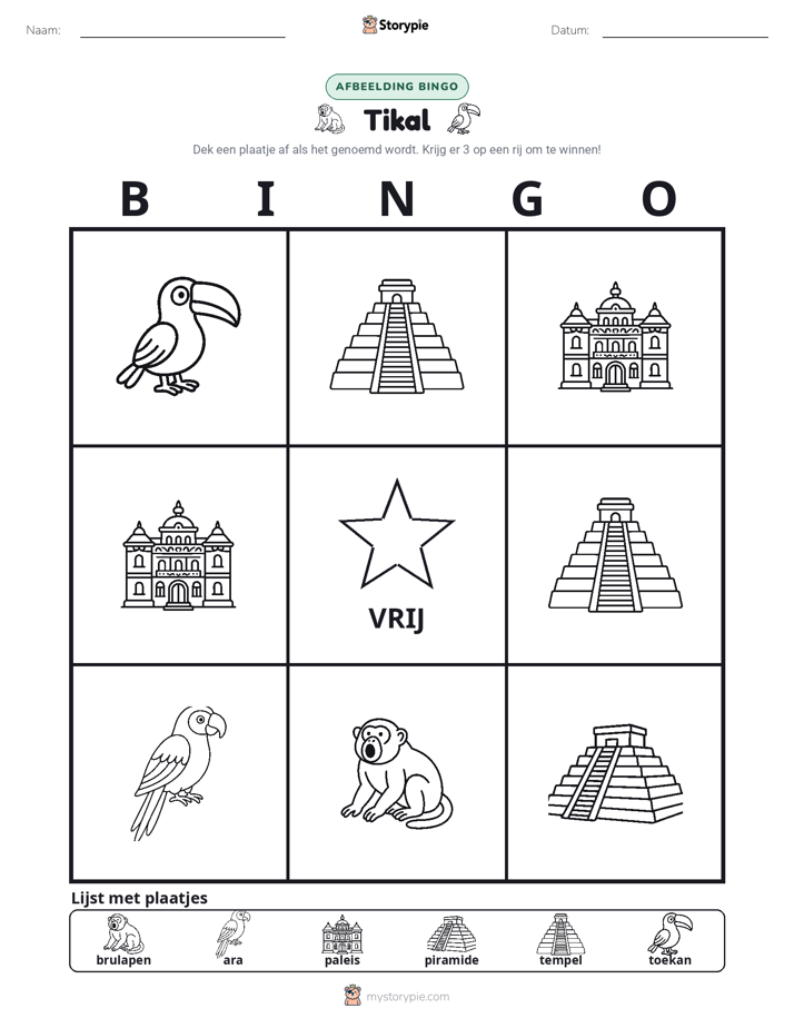Afbeelding Bingo