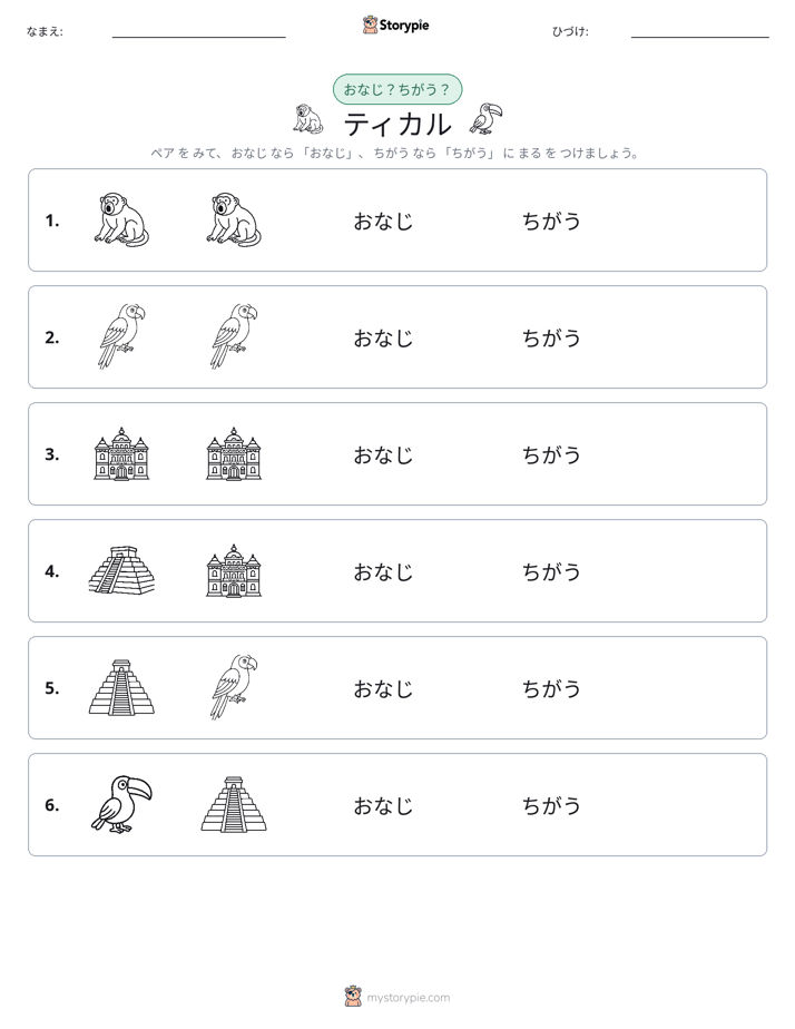 同じか違うか