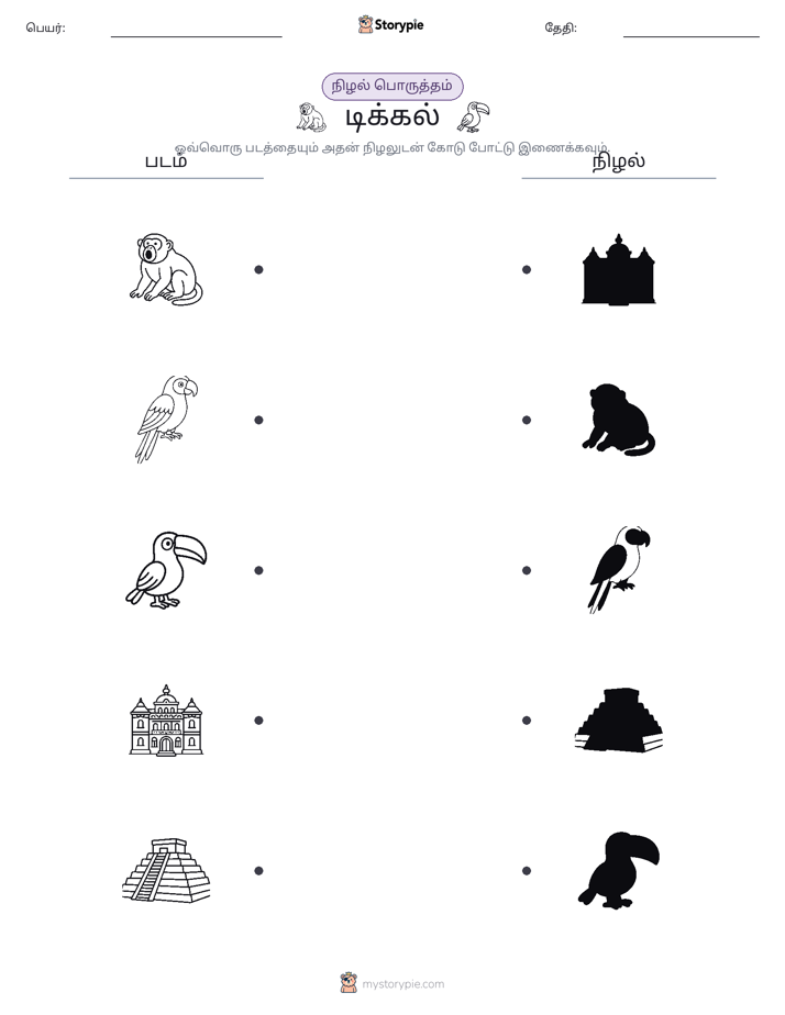 நிழல் பொருத்தம்