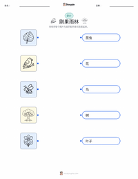 刚果雨林 可打印工作表，适合儿童