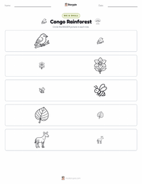 Congo Rainforest printable worksheet preview