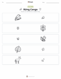 Xem trước tài liệu in sẵn Rừng mưa Congo