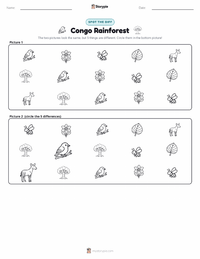 Congo Rainforest printable worksheet preview