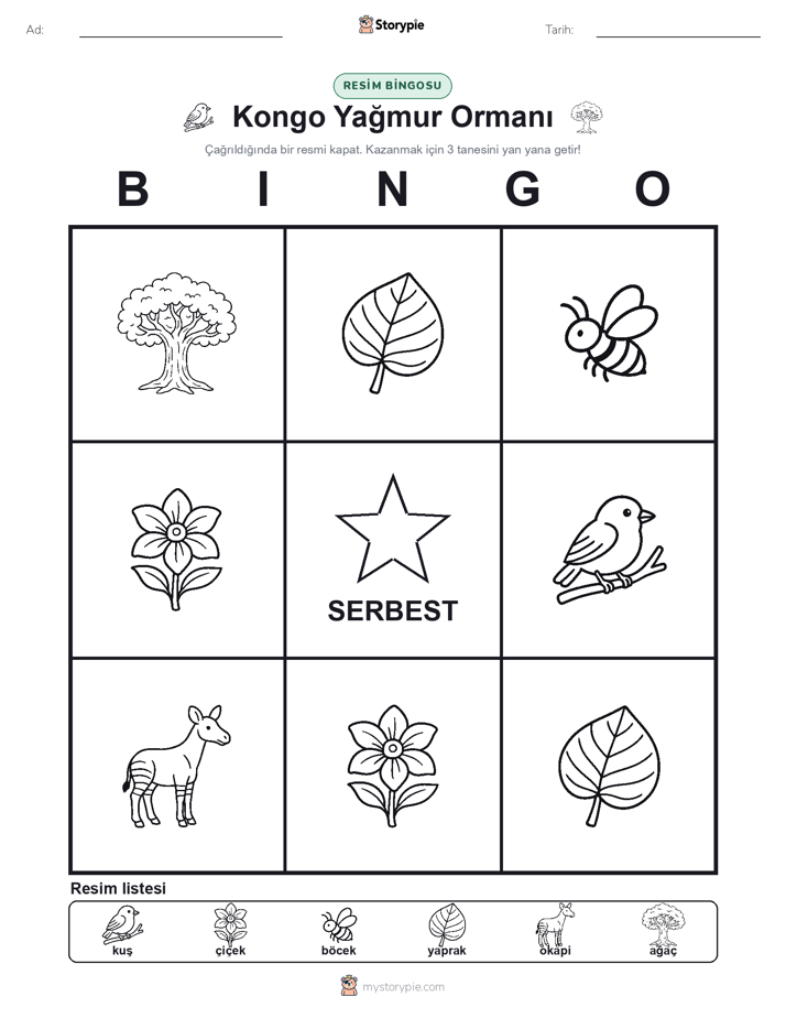 Resim Bingo