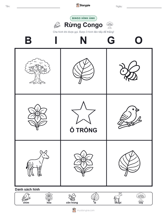 Bingo Hình Ảnh