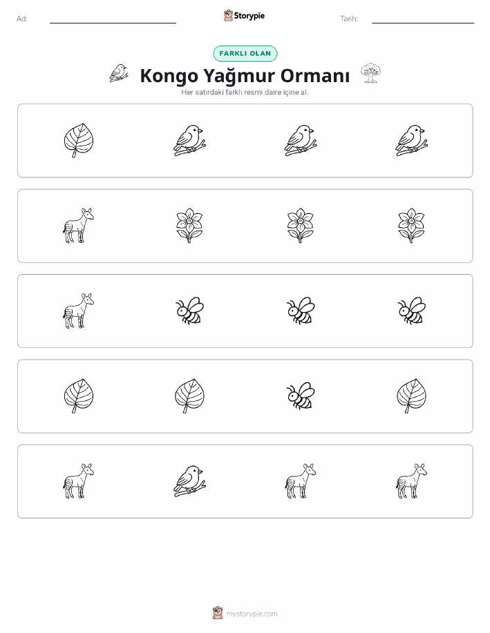 Farklı Olanı Bul