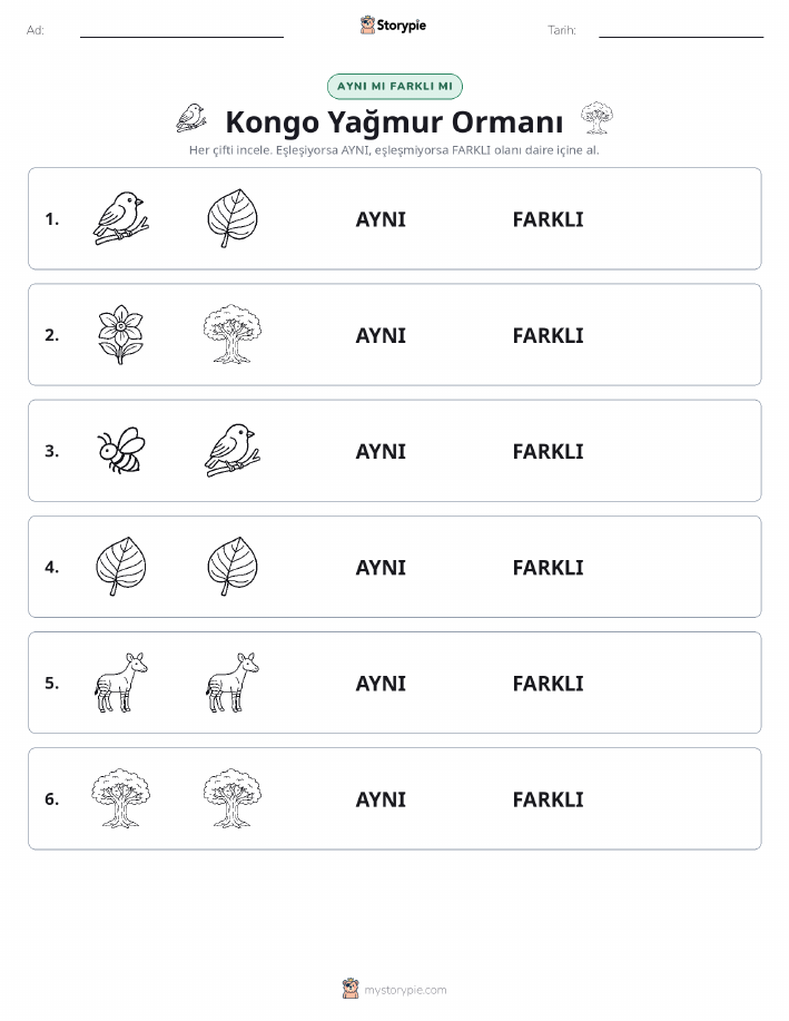 Aynı mı Farklı mı