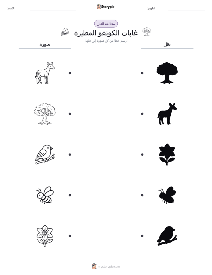 مطابقة الظل