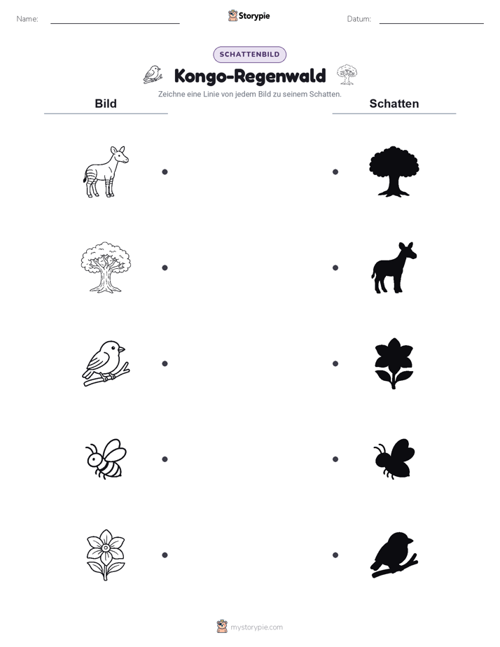 Schattenmatch