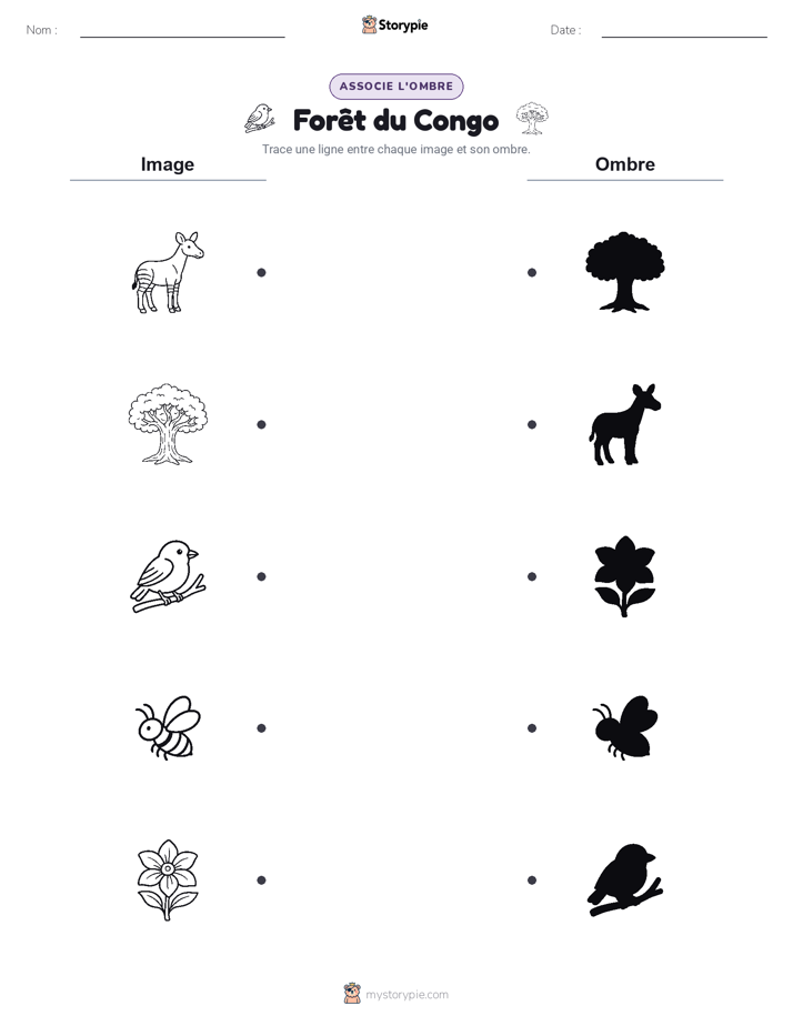 Correspondance d'Ombres