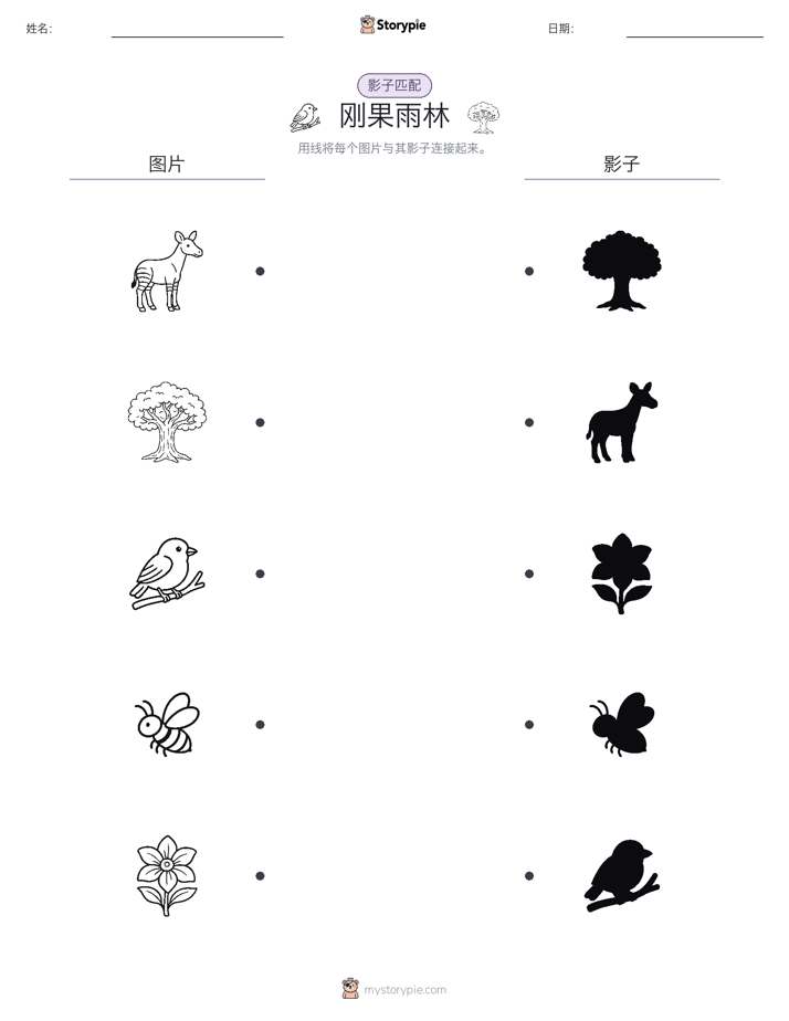 影子匹配