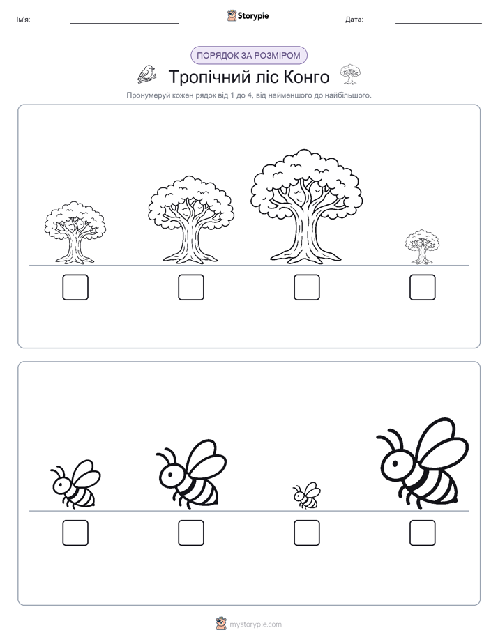 Порядок Розміру