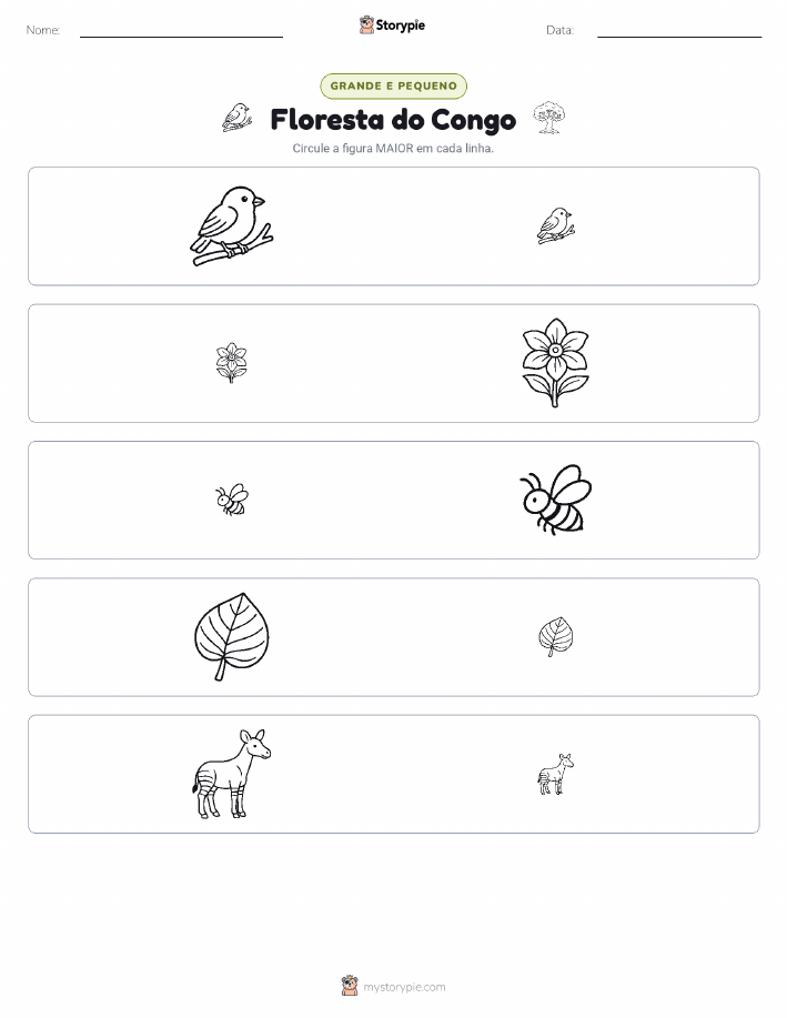 Classificação