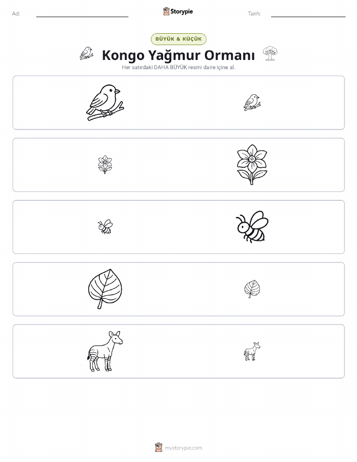 Sıralama