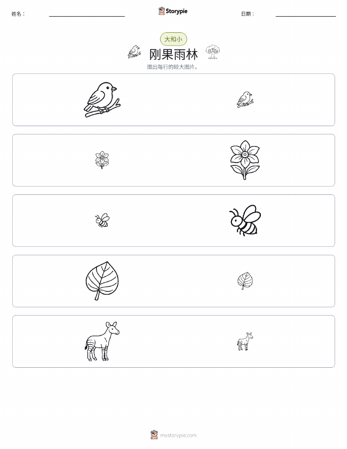 分类