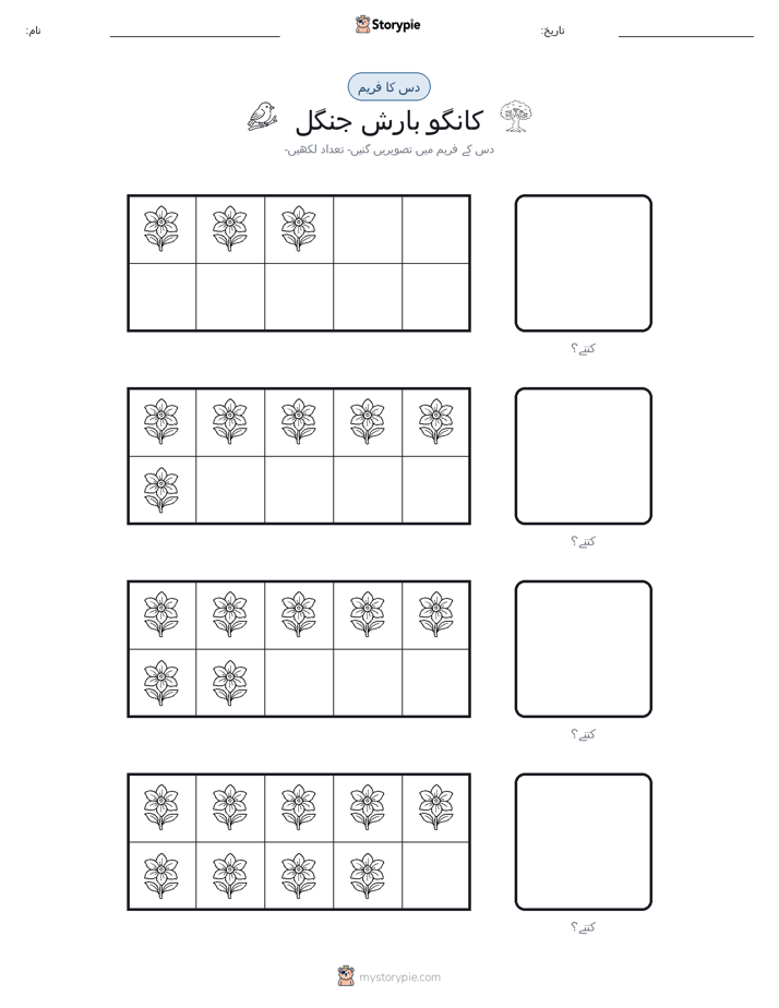 دس کا فریم