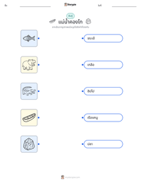 แม่น้ำคองโก ตัวอย่างแบบฝึกหัดที่พิมพ์ได้