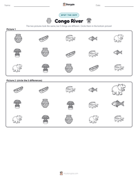 Congo River printable worksheet preview