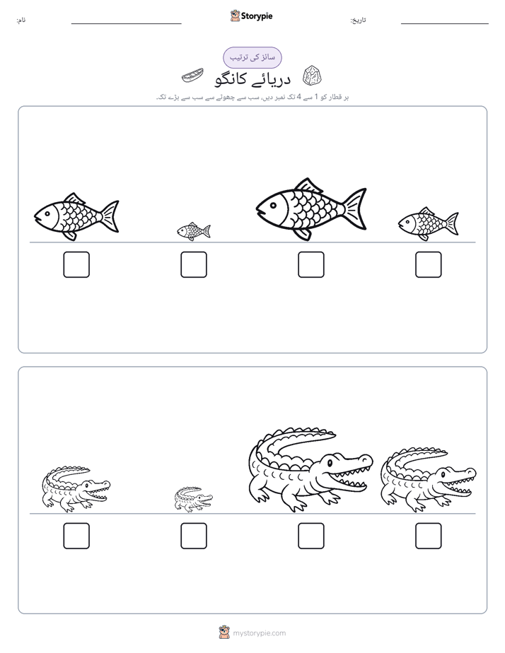 سائز کی ترتیب