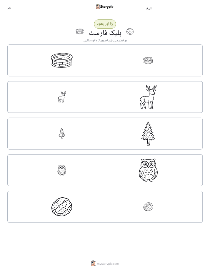 ترتیب دینا