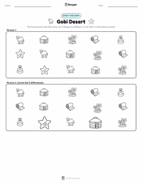 Gobi Desert printable worksheet preview