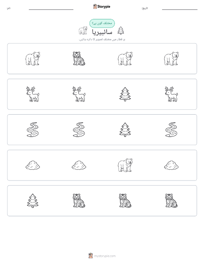 عجیب ایک