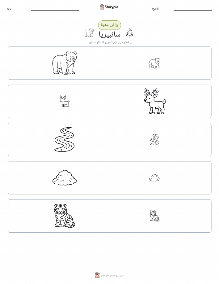 ترتیب دینا