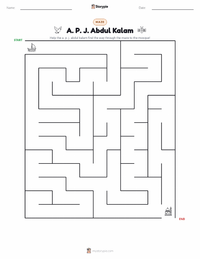 A. P. J. Abdul Kalam printable worksheet preview