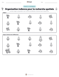 Aperçu de la feuille de travail imprimable Organisation indienne pour la recherche spatiale