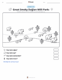 Great Smoky Dağları Milli Parkı yazdırılabilir çalışma sayfası önizlemesi