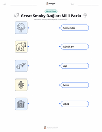 Great Smoky Dağları Milli Parkı çocuklar için yazdırılabilir çalışma sayfası