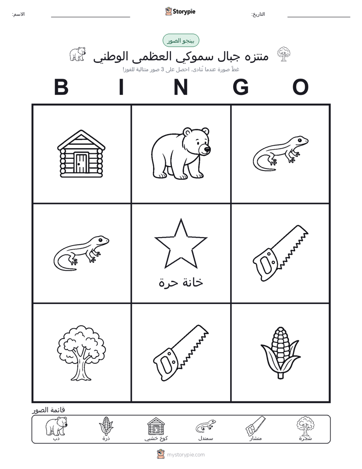 بينغو الصور