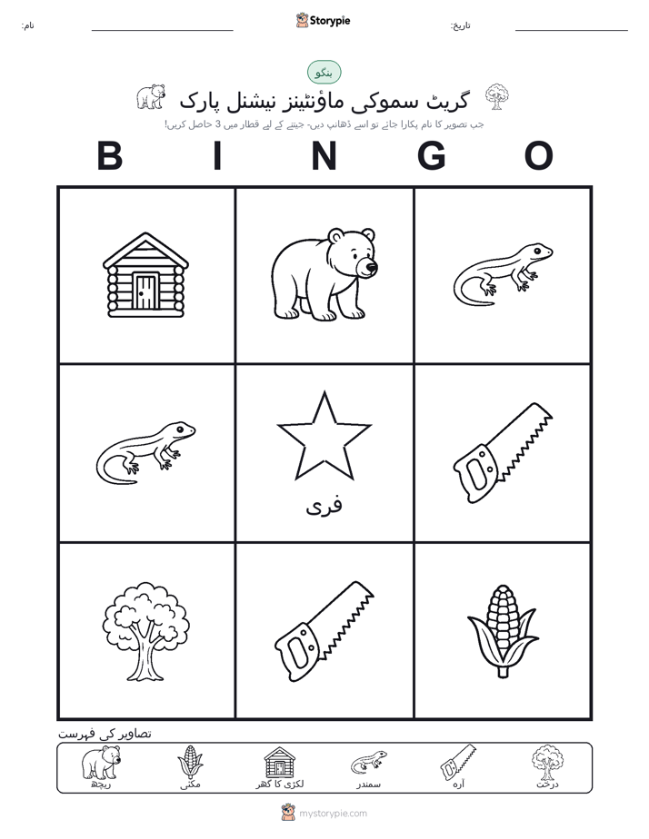 تصویری بنگو