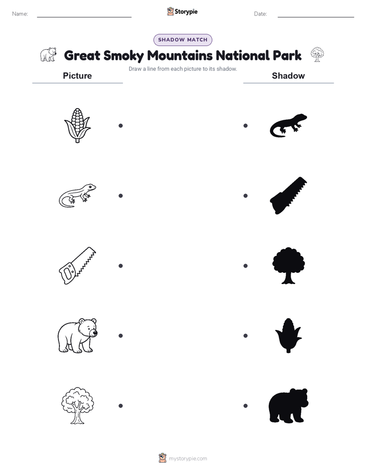 Shadow Match