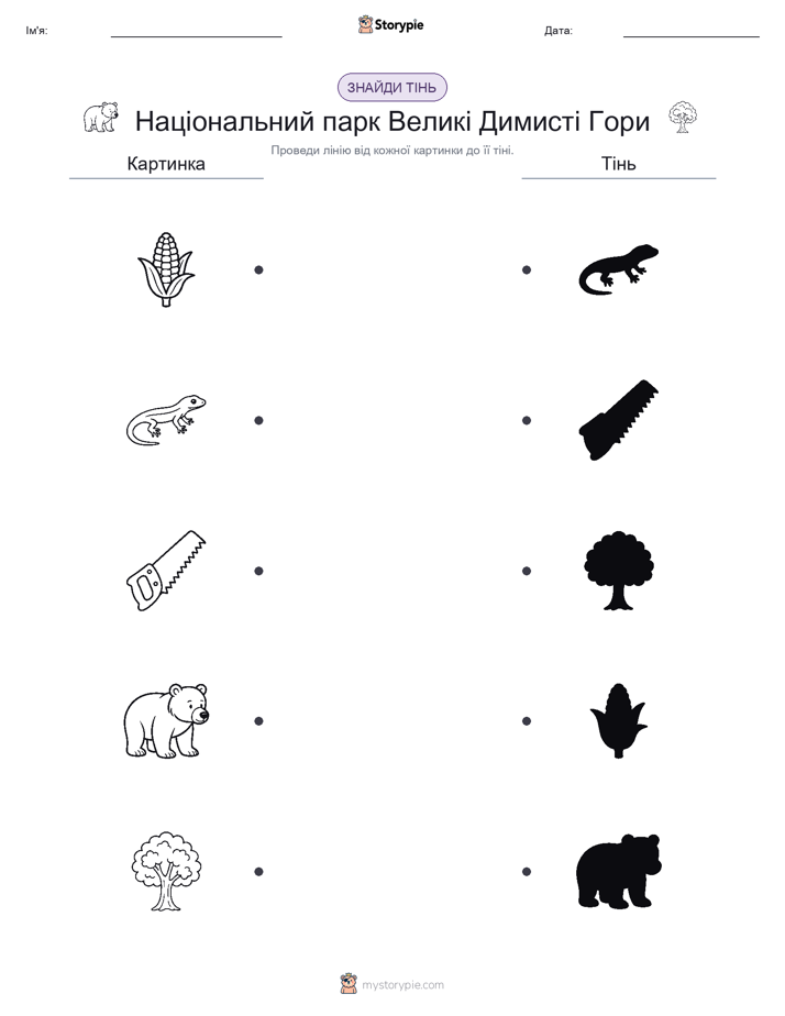 Тіньове Відповідність