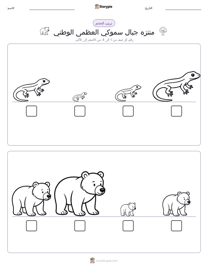 ترتيب الحجم