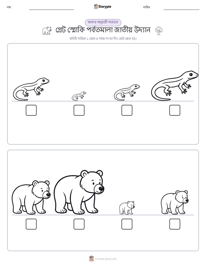 আকারের ক্রম