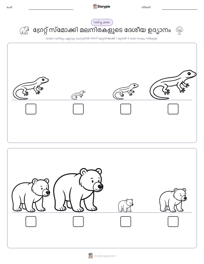 വലുപ്പം ക്രമം