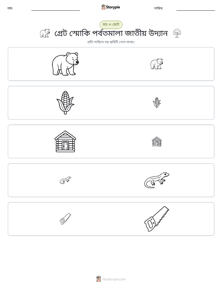 সাজানো