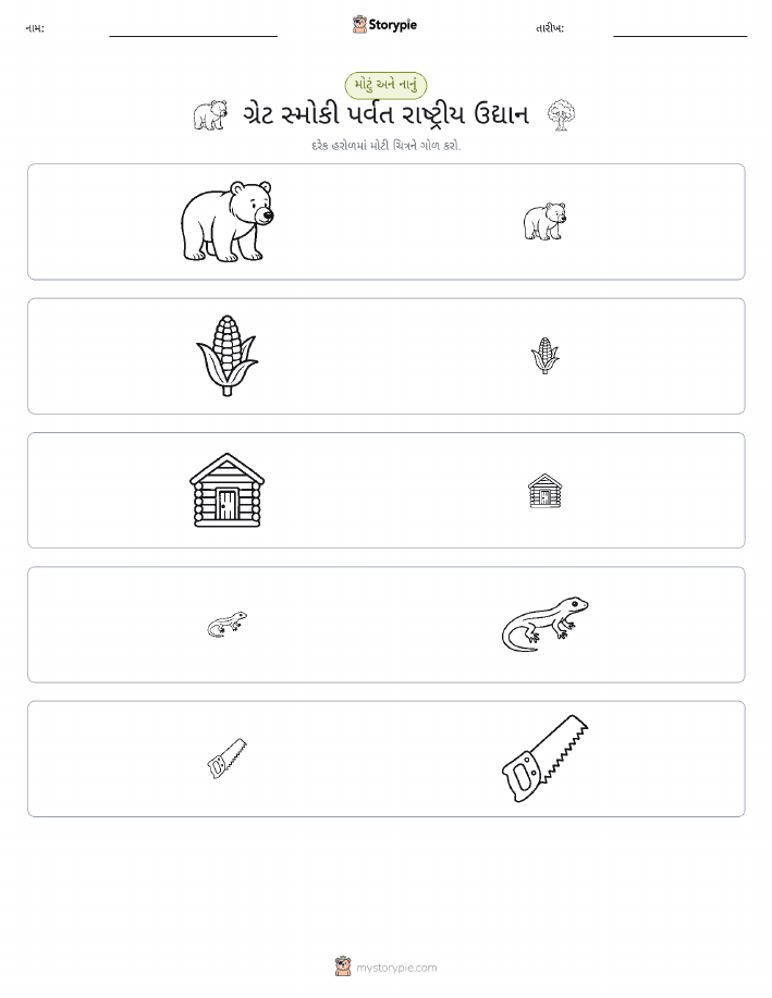 વર્ગીકરણ