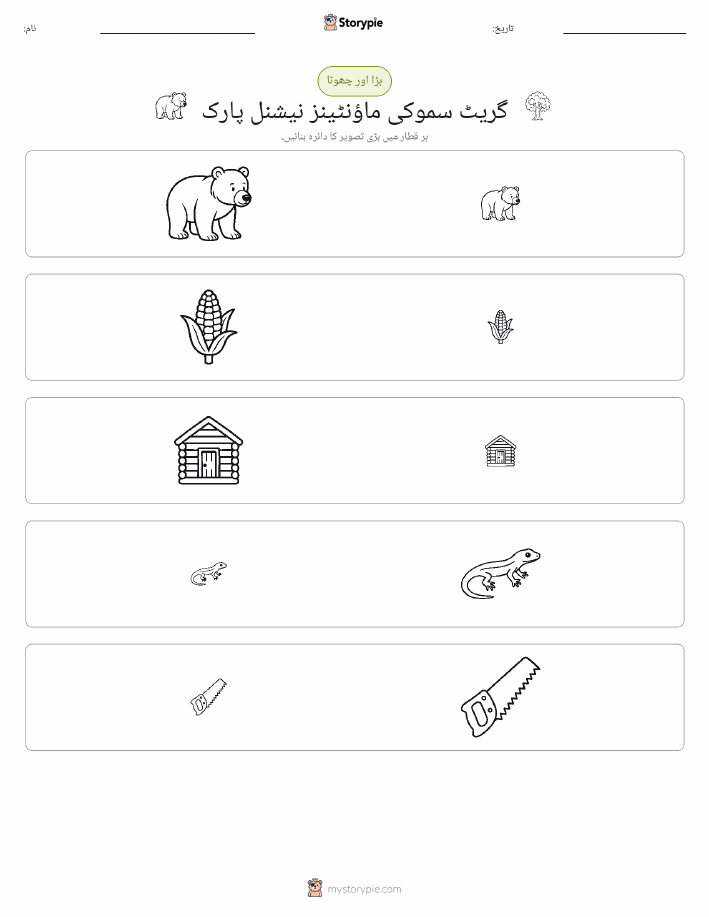 ترتیب دینا