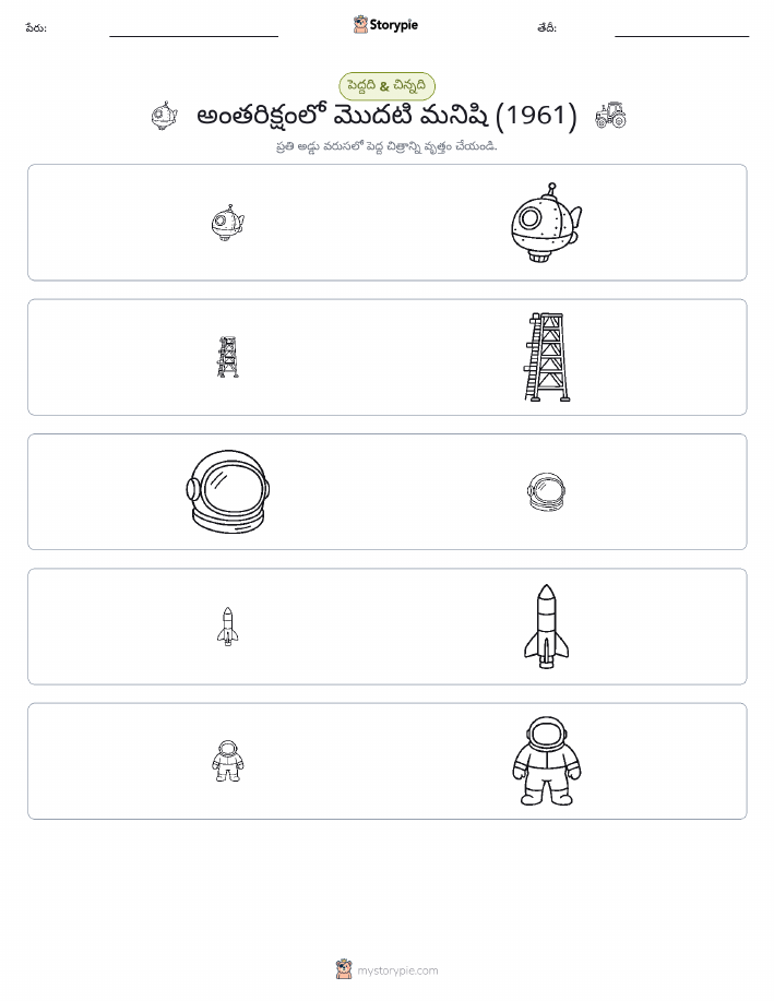 వర్గీకరణ