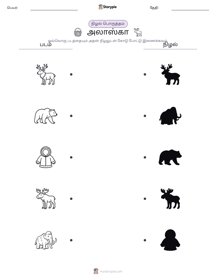 நிழல் பொருத்தம்