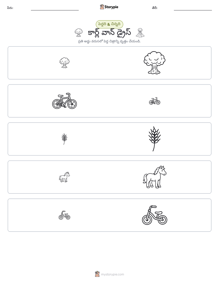వర్గీకరణ